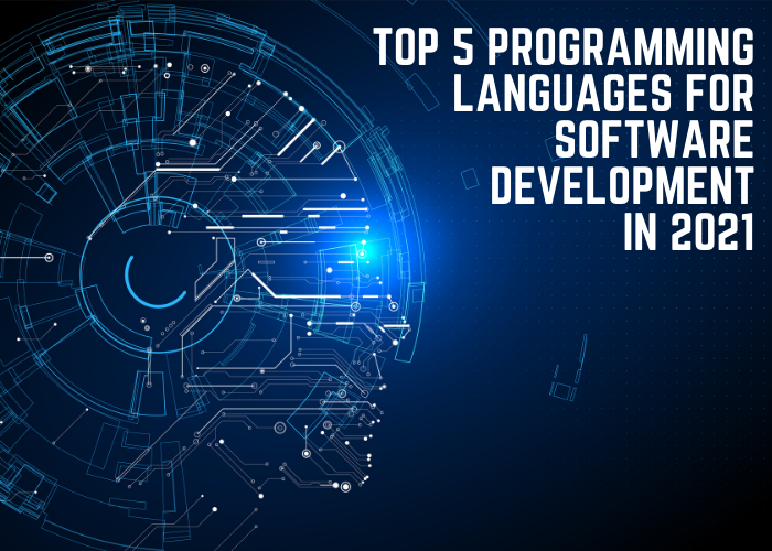 Top 5 programming languages for software developme